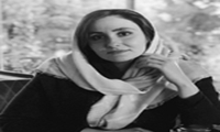 فین‌تک‌های فعال در ایران